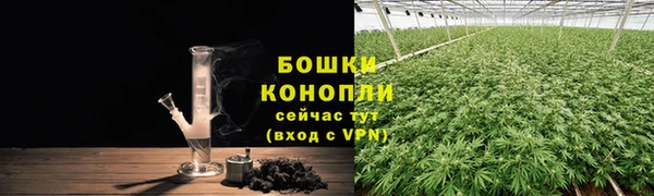 гашик Новокубанск