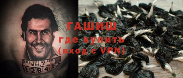 гашик Новокубанск