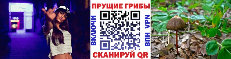 Галлюциногенные грибы ЛСД  mega ТОР  Прохладный  где продают наркотики 