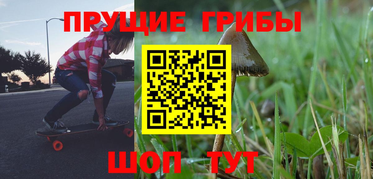Прохладный  Псилоцибиновые грибы Magic Shrooms  Вход с VPN 